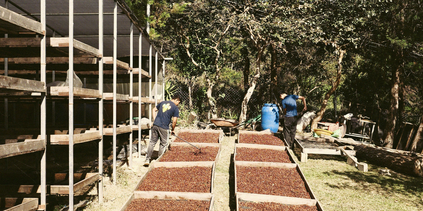 El Salvador Don Jaime