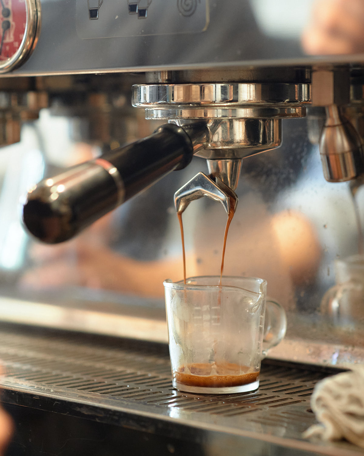 Thailand Ayo and Mika [Medium roast]