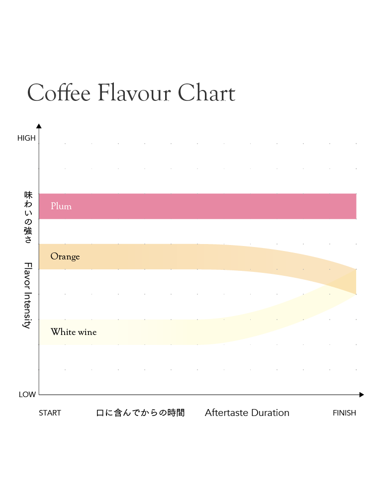 Colombia Yadimir Quiguanas Perez [Light roast]