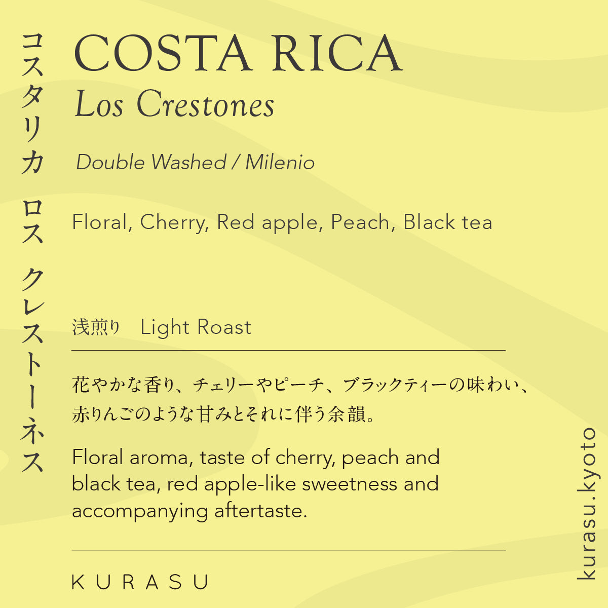 Kurasu Drip Coffee Bag -Costa Rica Los Crestones [Light roast]