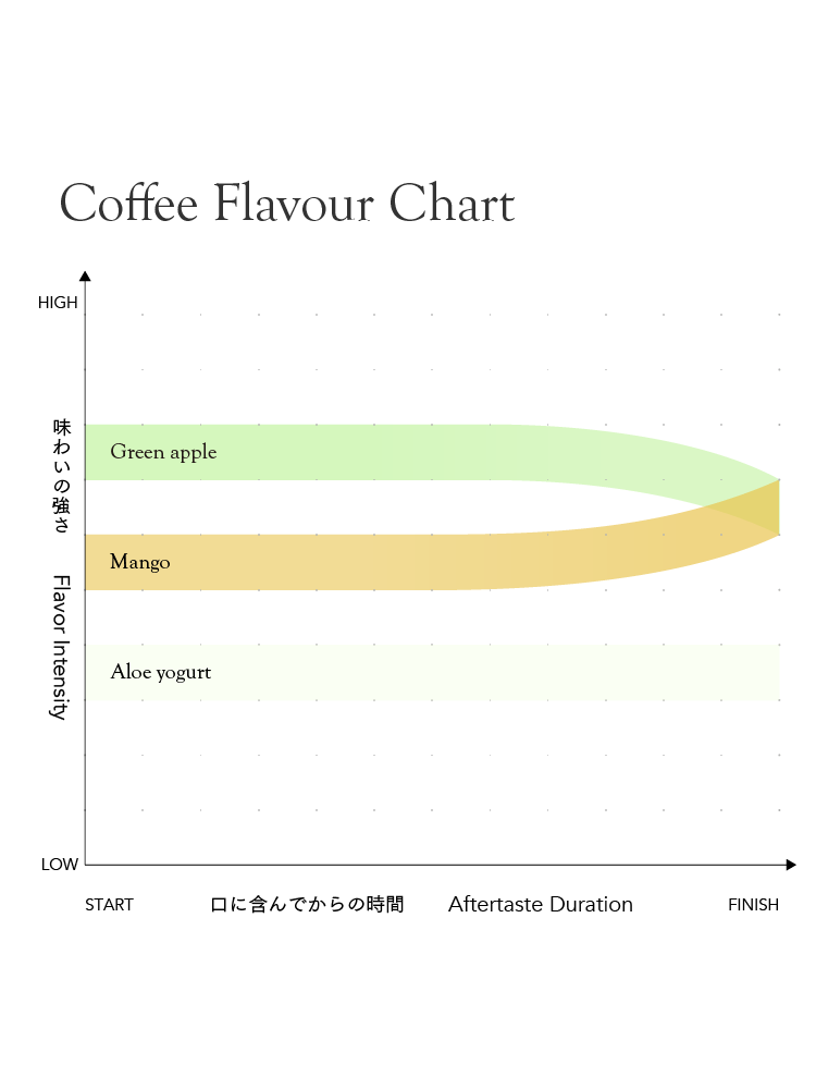 [Premium]Ecuador Lugumapata Sidra[Light roast]