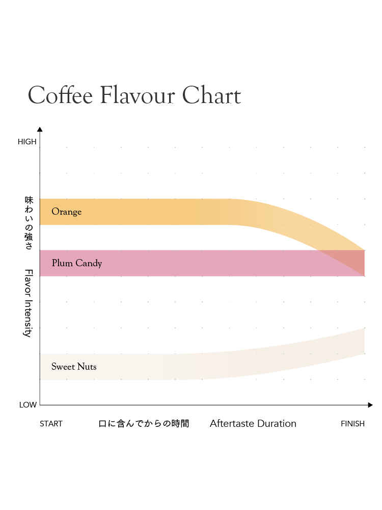 FAF Medium [Medium roast]