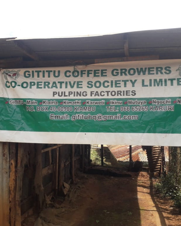 Kenya Gititu PB [Medium-light roast]