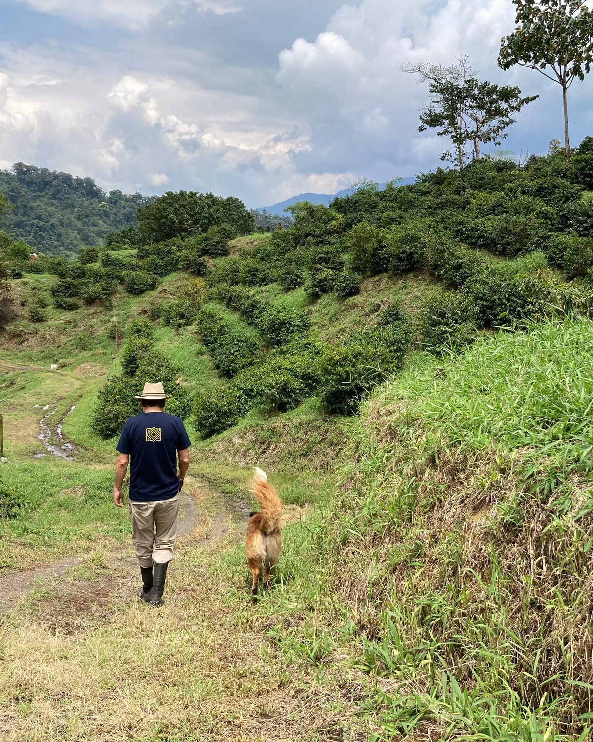 [Premium]Ecuador Leopoldo Andrade[Light roast]