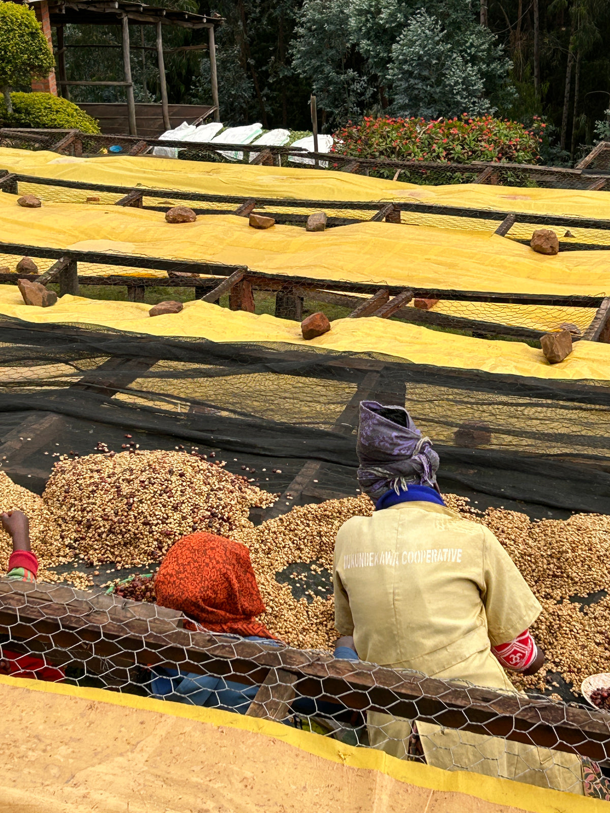 Rwanda Nkara Soil Project Lot.1204[Medium-light roast]