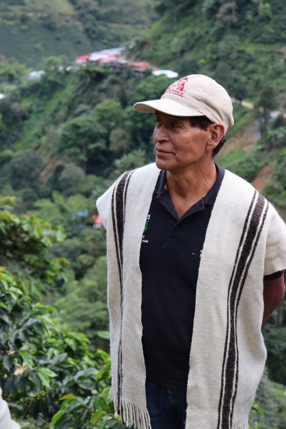 Colombia Lisandro Quilcue[Light roast]