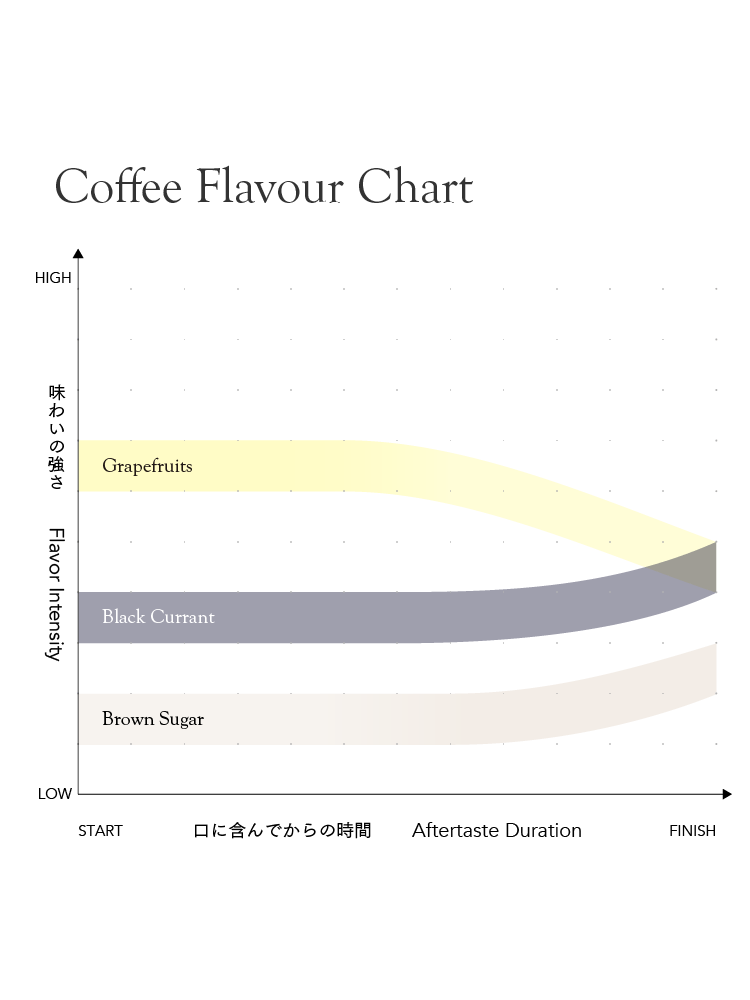 Kenya Gititu PB [Medium-light roast]