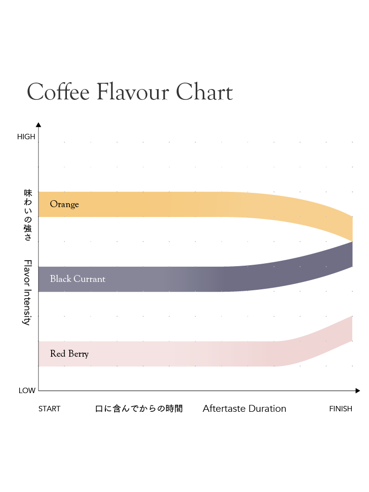 Kenya Kamviu AB [Light roast]