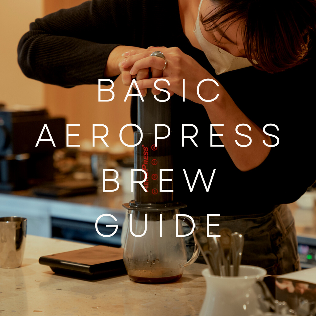 Aeropress Basic Brew Guide - Kurasu