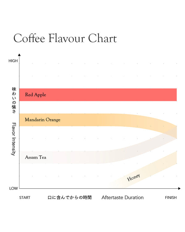 Kurasu Drip Coffee Bag - Rwanda Mbilima Soil Project Lot.0704 [Light r