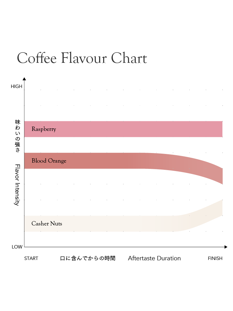 Thailand Ayo and Mika [Medium roast]