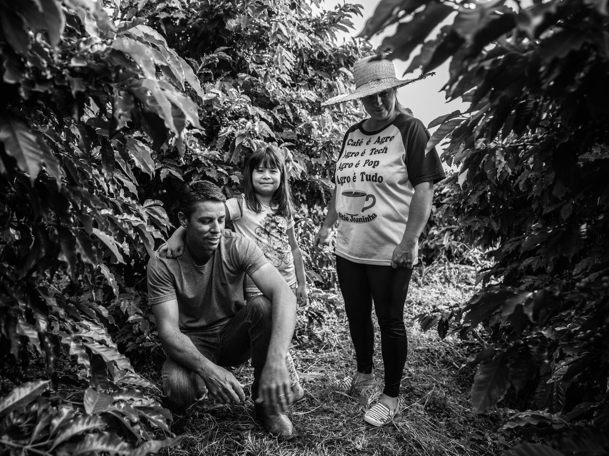 FAF Dark [Dark roast]